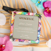 Black Orchid Boxed Flower | Spongellé